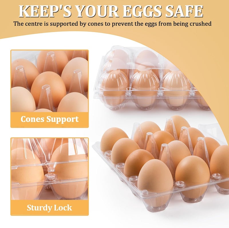 APOCHON 40PCS Plastic Egg Cartons 18 Count,Clear Egg Cartons Cheap Bulk for Fresh Eggs,Reusable Egg Holder for Family,Pasture,Farm Markets Display - Medium Egg Containers 3x6 Grids - Image 4